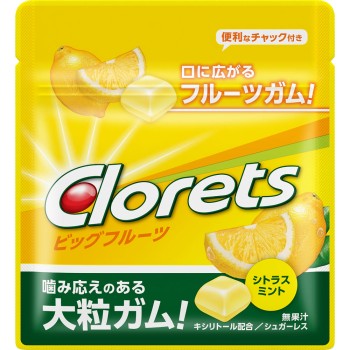 클로레츠 빅 프루트 시트러스 민트 미니 파우치 17g 몬델리즈 재팬