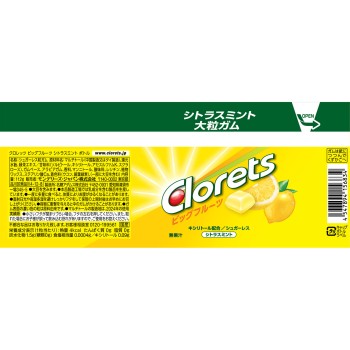 클로렛 빅 프루츠 시트러스 민트 보틀 112g 몬델리즈 재팬