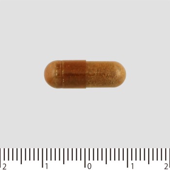 블랙진저 살라시아 60정 오리히로플란두