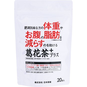 갈화차 40포 니혼야쿠켄