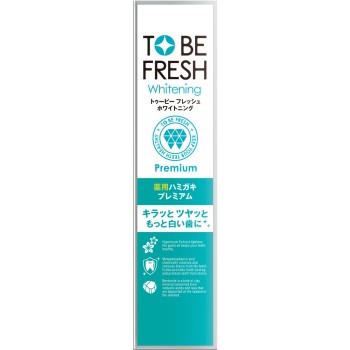 투비화이트 약용덴탈페이스트프리미엄 60g 네이처랩