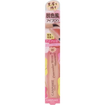 캔메이크 컨실러 브로우 마스카라 01 이다라보라토리즈