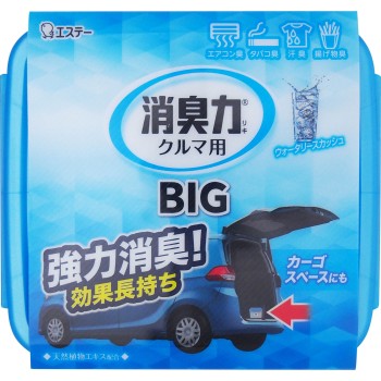 차량 소취력 BIG 900g 에스티