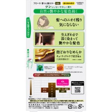 블로네 향기와 윤기 컬러 크림 4A 애쉬 브라운 80g 카오