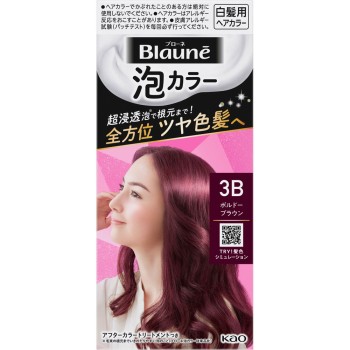 브로네 거품 헤어 컬러 3B 보르도 브라운 108ml 카오 (의약부외품)