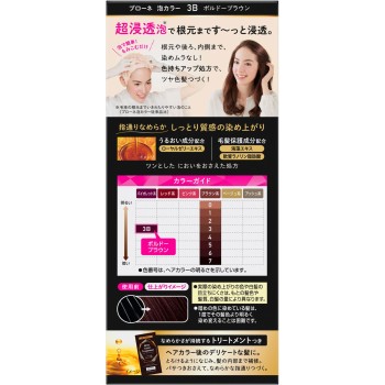브로네 거품 헤어 컬러 3B 보르도 브라운 108ml 카오 (의약부외품)