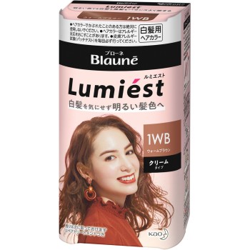 블로네 루미에스트 헤어 컬러 1WB 웜 브라운 108g 카오