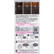 리제 폼 컬러 블루 그레이 115ml 花王
