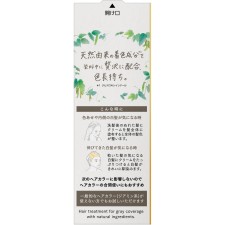브로네 나치유리라 컬러 트리트먼트 애쉬브라운 교체형 155g 카오