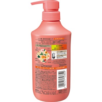 이치카미 농밀 W 보습 케어 CD 펌프 450g 크라시에 홈프로덕츠
