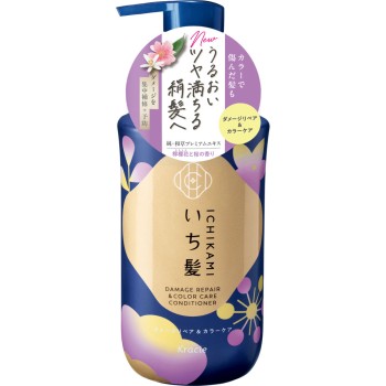이치카미 데미지 리페어&컬러 케어 CD 펌프 450g 크라시에 홈프로덕츠