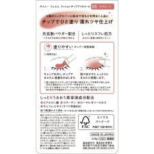 키스미 페름 쿠션칩아이컬러N 05 0.8g 이세한