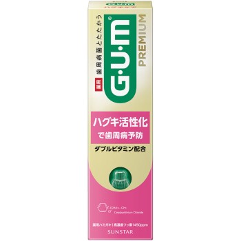 검·프리미엄 덴탈 페이스트 잇몸 케어 90g 선스타 (의약외품)