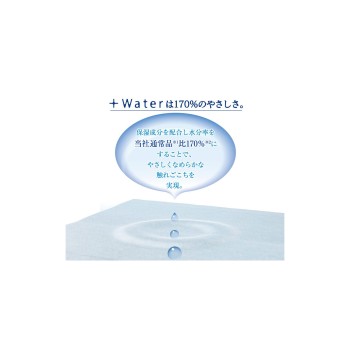 에리엘 +Water 포켓 14W14P 다이오제지