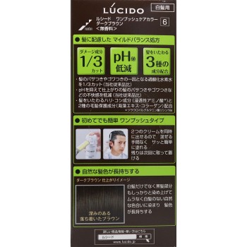 루시도 원푸시 케어 컬러 6 다크브라운 1제50g・2제50g 만담