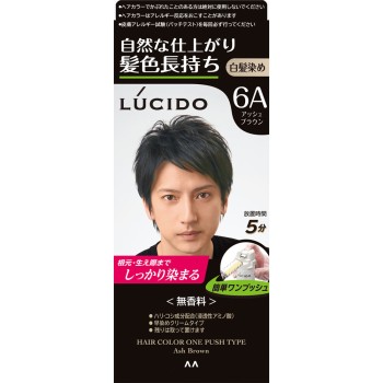 루시도 원푸시 케어 컬러 애시브라운 1제50g・2제50g 만담