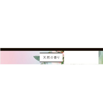 센터인 컴팩트 1/2 플로럴 많은 밤용 12매 유니참