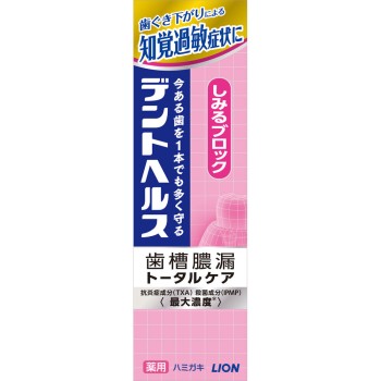 덴트헬스 약용 치약 시림 차단 85g 라이온