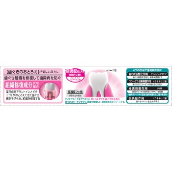 시스테마 잇몸 플러스 치약 대사이즈 115g 라이온