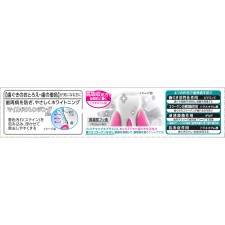 시스테마 잇몸 플러스 화이트닝 치약 대용량 120g 라이온