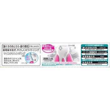 시스테마 잇몸 플러스 화이트닝 치약 대용량 120g 라이온