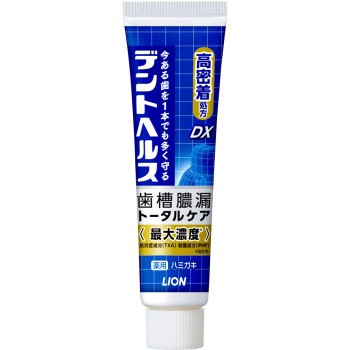 덴트헬스 약용 치약 DX 28g 라이온