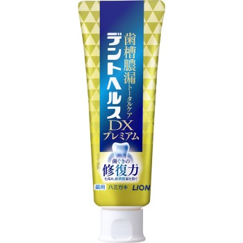 덴트 헬스 약용 치약 DX 프리미엄 90g 라이온