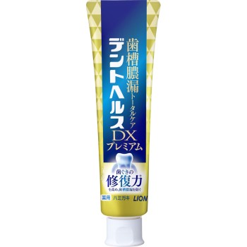 덴트 헬스 약용 치약 DX 프리미엄 120g 라이온