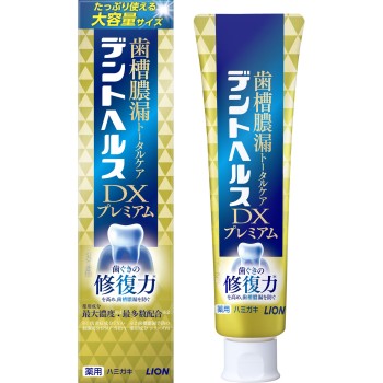 덴트 헬스 약용 치약 DX 프리미엄 120g 라이온