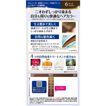 살롱 드 프로 무향 헤어컬러 빠른 염색 크림(백발용) 6 다크브라운 40g+40g 다리야