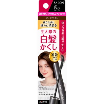 살롱 드 프로 컬러온 리터치 흰머리 감추기 EX 다크 브라운 15ml 다리야