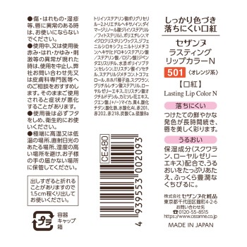 라스팅 립 컬러 N 501 오렌지계 7g 세잔느화장품