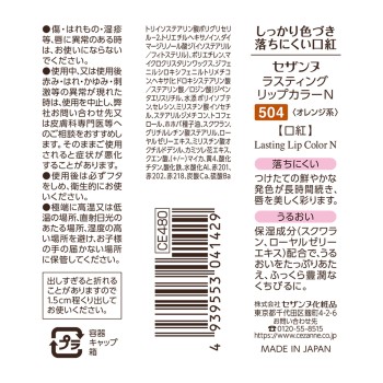 세잔느 라스팅 립컬러N 504