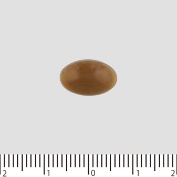 스폰 나데시코 60알 마루만H&B
