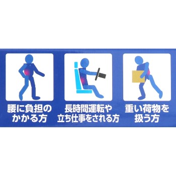 골반 벨트 L 오카모토