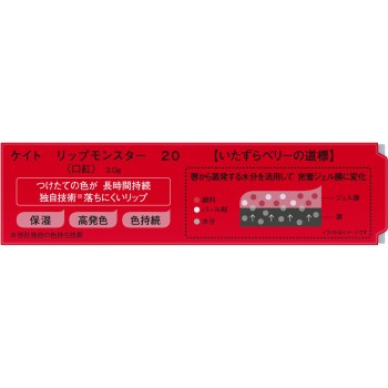 케이트 립몬스터 20 장난스러운 베리의 이정표 3g 카네보화장품