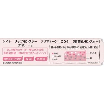 케이트 립몬스터 클리어톤 C04 3g 카네보화장품
