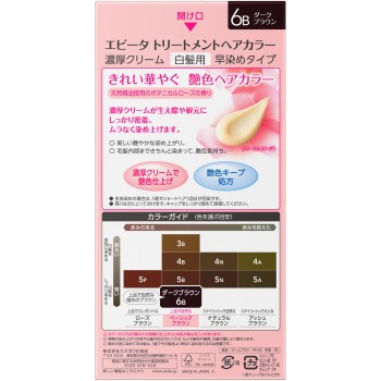 에비타 트리트먼트 헤어 컬러 6B 45g+45g