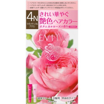 에비타 트리트먼트 헤어 컬러 4N 45g+45g 가네보