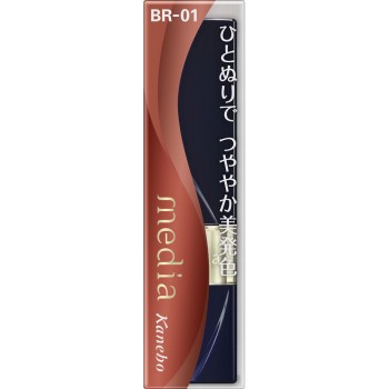 미디어 브라이트업 루주 BR-01 가네보