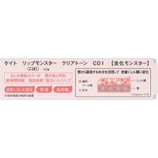 케이트 립 몬스터 클리어 T C01 3g 가네보