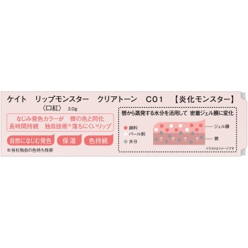 케이트 립 몬스터 클리어 T C01 3g 가네보