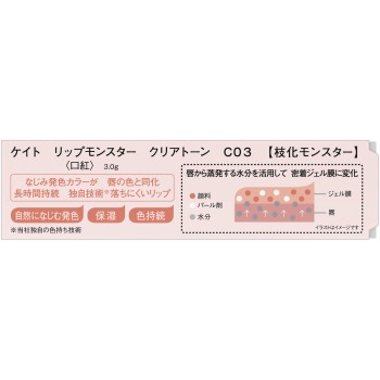 케이트 립 몬스터 클리어 T C03 3g 가네보