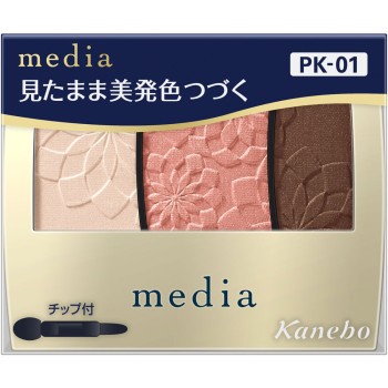 미디어 그라데 컬러 아이섀도우 N PK-01 3.1g 가네보
