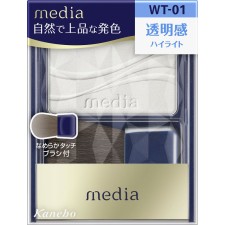 미디어 브라이트업 치크 S WT-01 2.8g 가네보