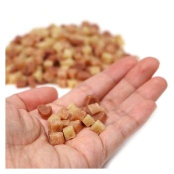 무첨가 양품 몸을생각한 매일밥 자묘~성견용 200g 토아코머스