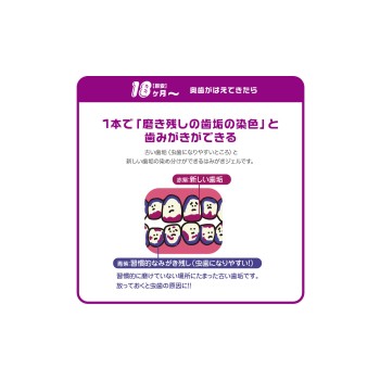 양치선생 2색 염색 양치 젤 30g 오카무라