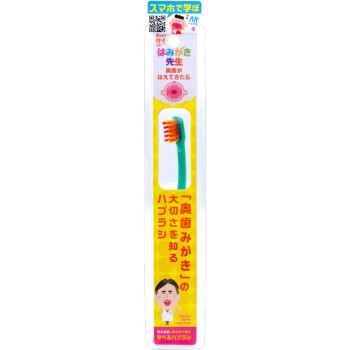 양치선생 어금니가 닦기 쉬운 칫솔 1개 오카무라