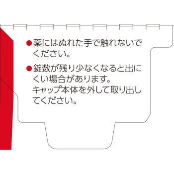나보린S 21정 에자이