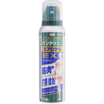 반테린코와 에어로겔EX 120ml 코와